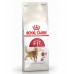  غذای خشک گربه بالغ با فعالیت معمولی Royal Canin